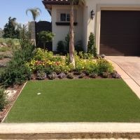 Artificial Grass Carpet Pine Valley, Utah Garden Ideas, Front Yard