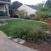 Artificial Grass Fayette, Utah Roof Top, Front Yard Design