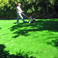 Artificial Turf Cost West Mountain, Utah Gardeners, Backyard