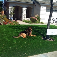 Artificial Turf South Ogden, Utah Drainage, Front Yard Landscape Ideas