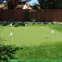 Fake Turf Layton, Utah Backyard Putting Green, Backyards