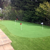 Grass Carpet Maeser, Utah Putting Green Grass, Backyard Garden Ideas