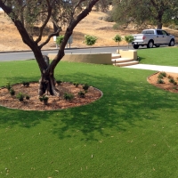 Grass Turf Echo, Utah Lawns, Front Yard Landscape Ideas