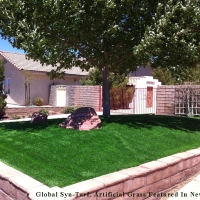 Outdoor Carpet Lehi, Utah Roof Top, Front Yard