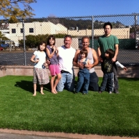 Plastic Grass Scipio, Utah Gardeners, Commercial Landscape