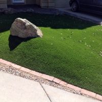 Synthetic Turf Castle Dale, Utah Garden Ideas