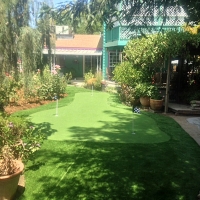 Synthetic Turf Supplier Orderville, Utah Landscape Ideas