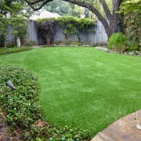 Turf Grass Palmyra, Utah Landscaping, Backyard Landscaping Ideas