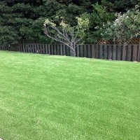 Turf Grass Willard, Utah Roof Top, Backyard Landscape Ideas