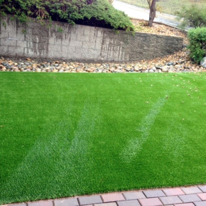 Artificial Grass Peter, Utah Lawns, Front Yard Design