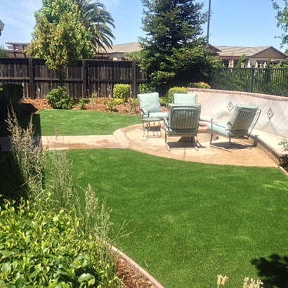 Artificial Grass Tropic, Utah Landscape Ideas, Small Backyard Ideas