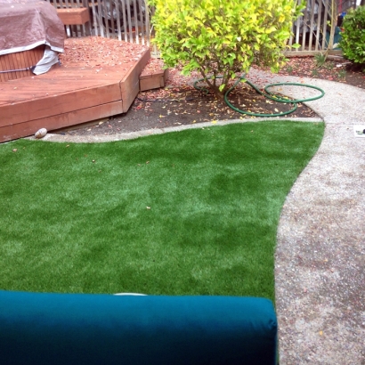 Artificial Lawn Junction, Utah Design Ideas, Backyard Landscaping Ideas