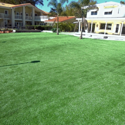 Artificial Turf Cost Holden, Utah Landscaping Business, Commercial Landscape