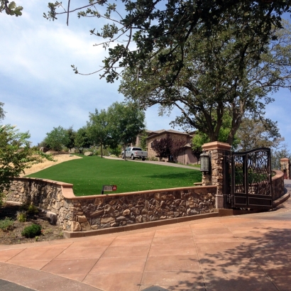 Artificial Turf Granite, Utah Garden Ideas, Front Yard Landscape Ideas