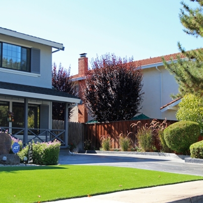 Artificial Turf Peoa, Utah Landscape Ideas, Small Front Yard Landscaping