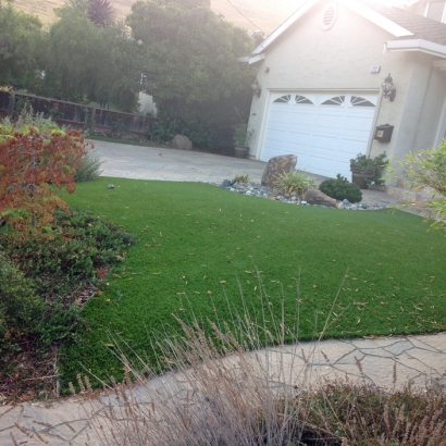 Best Artificial Grass Alta, Utah Rooftop, Front Yard Ideas