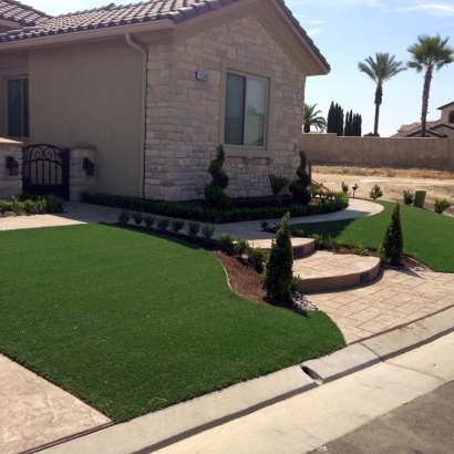 Best Artificial Grass Lewiston, Utah Gardeners, Front Yard Landscape Ideas