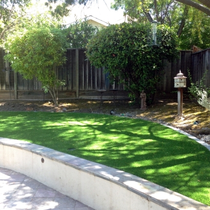 Best Artificial Grass Minersville, Utah Lawn And Garden, Commercial Landscape