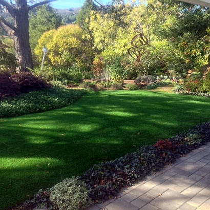 Fake Grass Carpet Garden City, Utah Paver Patio, Backyard Designs