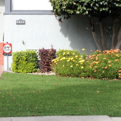 Fake Grass Carpet Garden, Utah Rooftop, Front Yard Landscaping Ideas