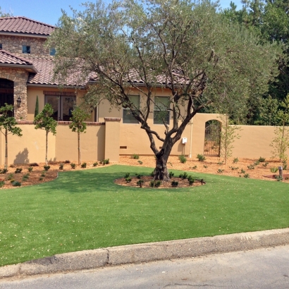 Fake Grass Carpet Liberty, Utah Gardeners, Front Yard Design