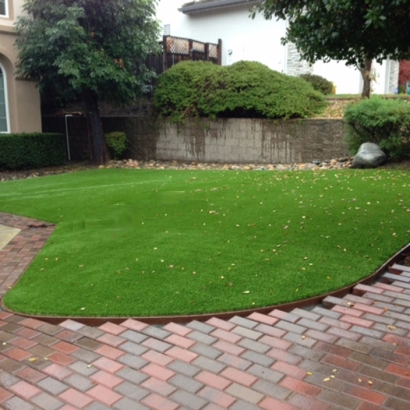 Fake Grass Carpet Whiterocks, Utah Gardeners, Front Yard Design