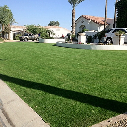 Fake Grass Halls Crossing, Utah Roof Top, Front Yard Design