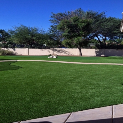 Fake Grass Mona, Utah Lawn And Landscape, Front Yard Landscaping