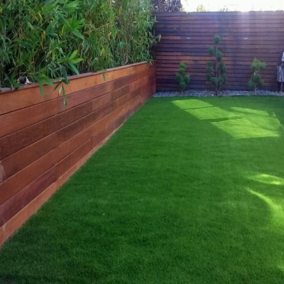 Faux Grass La Sal, Utah Rooftop, Backyard Landscaping Ideas