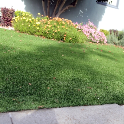 Grass Carpet Altamont, Utah Rooftop, Front Yard Landscape Ideas