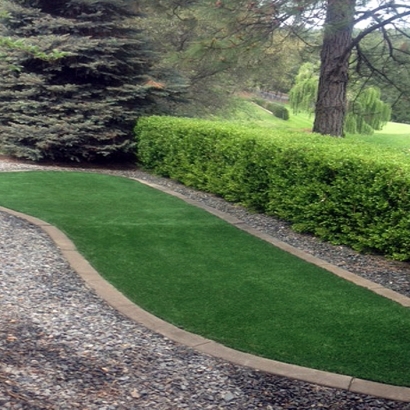 Grass Carpet Cleveland, Utah Landscaping Business