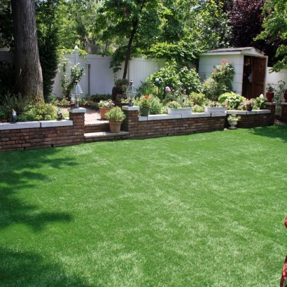 Grass Carpet Woodland, Utah Landscape Photos, Backyards