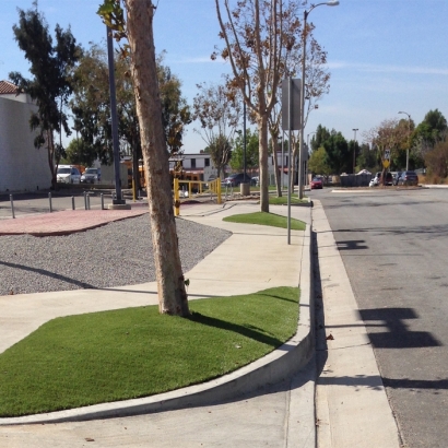 Grass Turf Holden, Utah Landscape Photos, Commercial Landscape