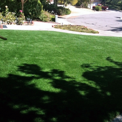 Green Lawn Goshen, Utah Garden Ideas, Small Front Yard Landscaping