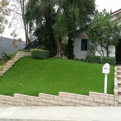 Outdoor Carpet Grantsville, Utah Backyard Deck Ideas, Front Yard Landscaping