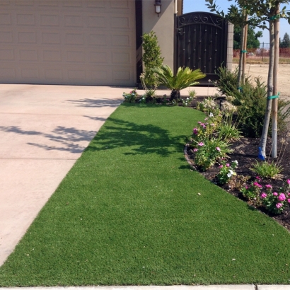 Outdoor Carpet Junction, Utah Landscape Design, Front Yard Design