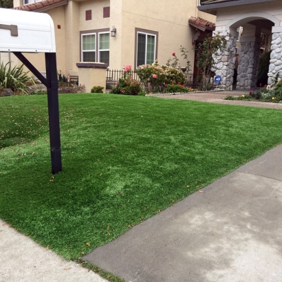 Outdoor Carpet Snowville, Utah Landscape Ideas, Front Yard Landscape Ideas