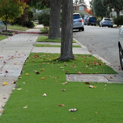 Outdoor Carpet Sutherland, Utah Garden Ideas, Small Front Yard Landscaping