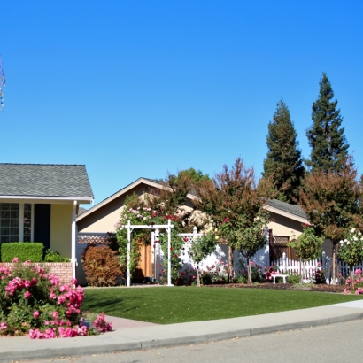 Plastic Grass Naples, Utah Home And Garden, Front Yard