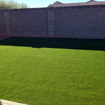 Synthetic Grass Cost Sandy City, Utah Landscape Ideas, Backyard Design