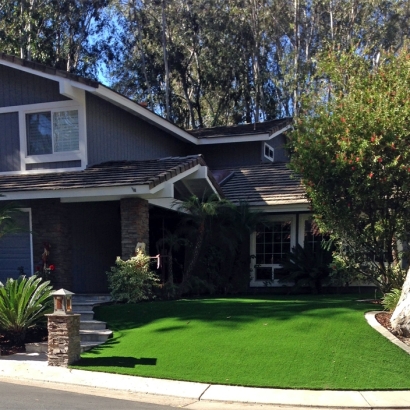 Synthetic Grass Draper, Utah City Landscape, Front Yard