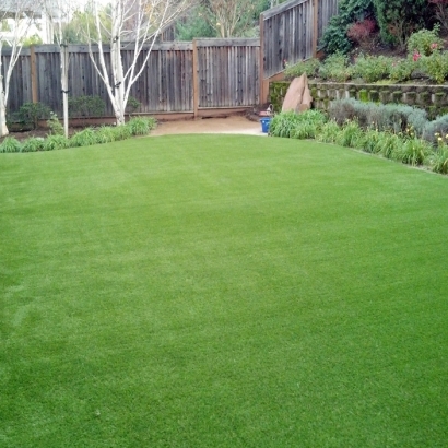 Synthetic Grass Emery, Utah Backyard Playground, Backyard Landscaping Ideas