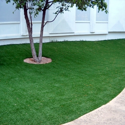 Synthetic Lawn Ballard, Utah Lawn And Landscape, Commercial Landscape