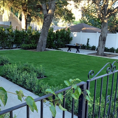 Synthetic Lawn Scofield, Utah Lawn And Garden, Landscaping Ideas For Front Yard