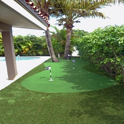 Synthetic Lawn Sunnyside, Utah Landscape Rock, Swimming Pool Designs