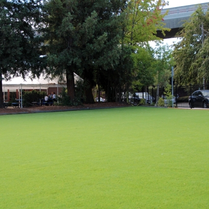 Turf Grass Ephraim, Utah City Landscape, Commercial Landscape