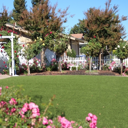 Turf Grass Henefer, Utah Paver Patio, Front Yard Design