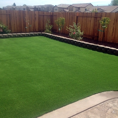 Turf Grass Oak City, Utah Landscaping Business, Backyards