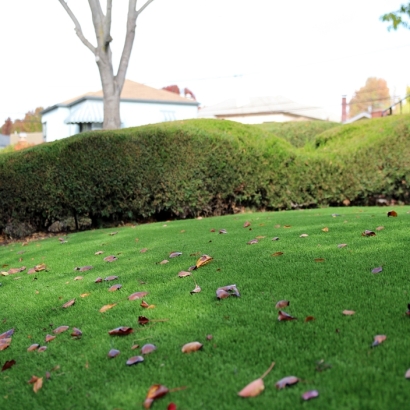 Turf Grass Randlett, Utah Landscape Ideas, Front Yard Landscaping