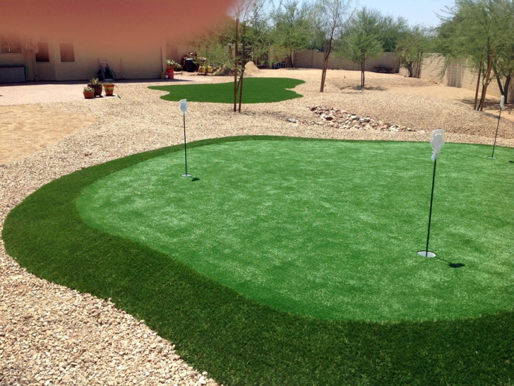 Artificial Grass Carpet Blanding, Utah Outdoor Putting Green, Backyard